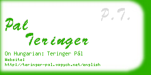 pal teringer business card